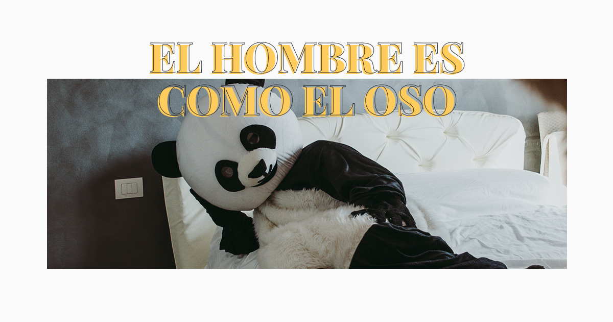 El hombre es como el oso